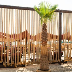beach lounge  